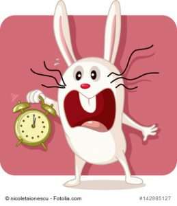 Stressed Bunny with Alarm Clock Vector